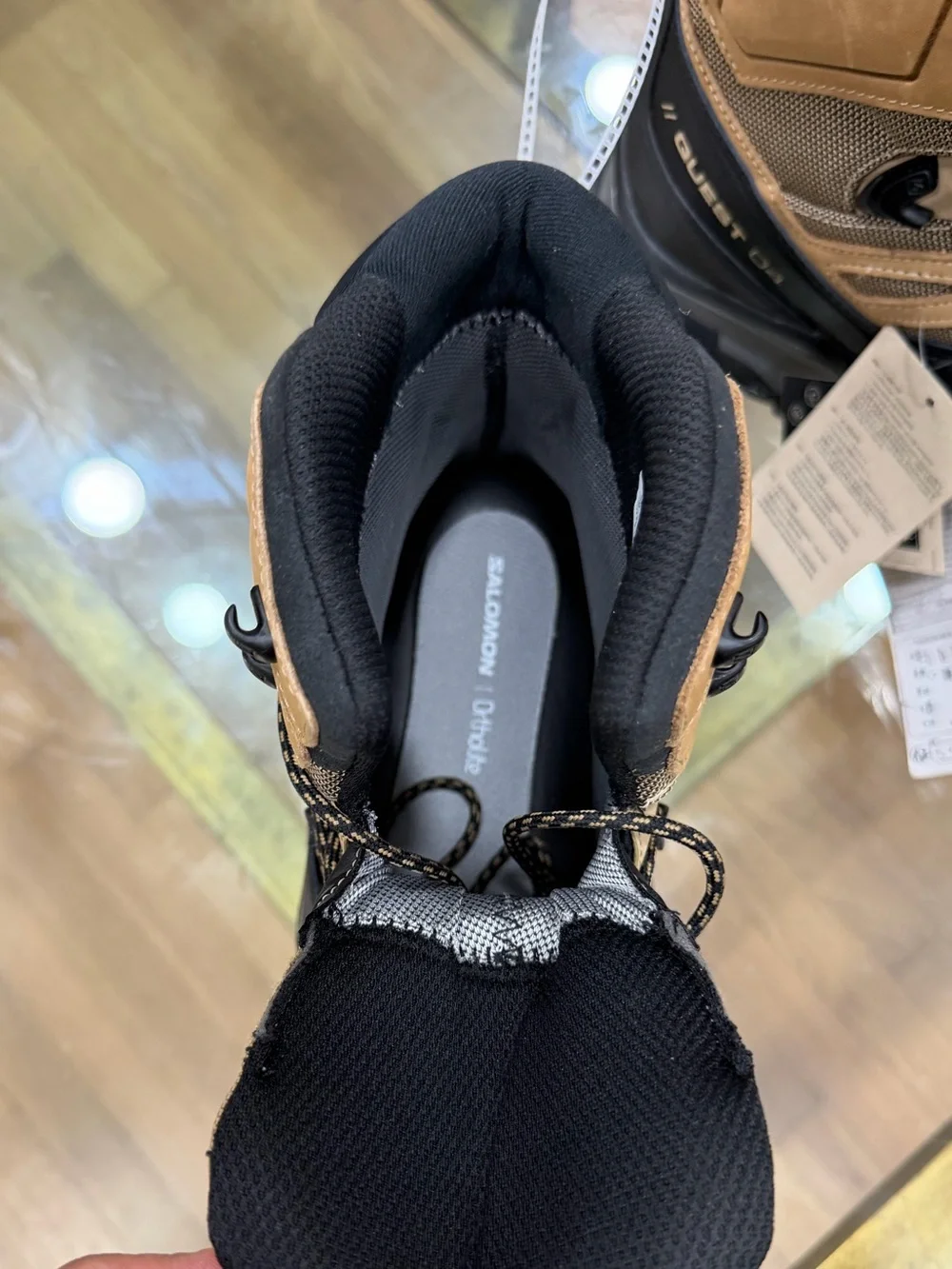 Salomon 🦋salomon quest